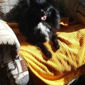 Meet your Posher, Lorie